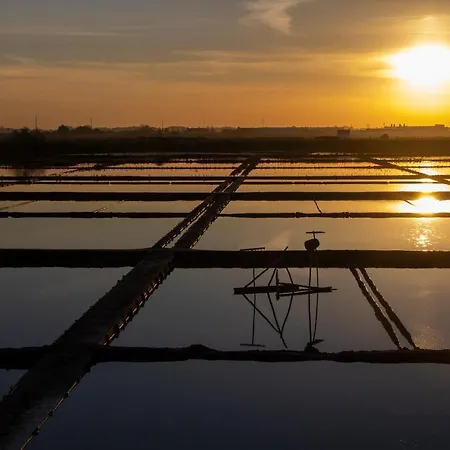 Casa Falcoeiras - Estudio Com Terraco Privado Daire Aveiro