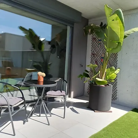 Casa Falcoeiras - Estudio Com Terraco Privado Aveiro