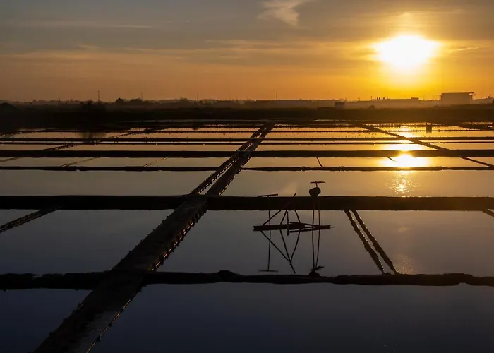 Casa Falcoeiras - Estudio Com Terraco Privado Daire Aveiro